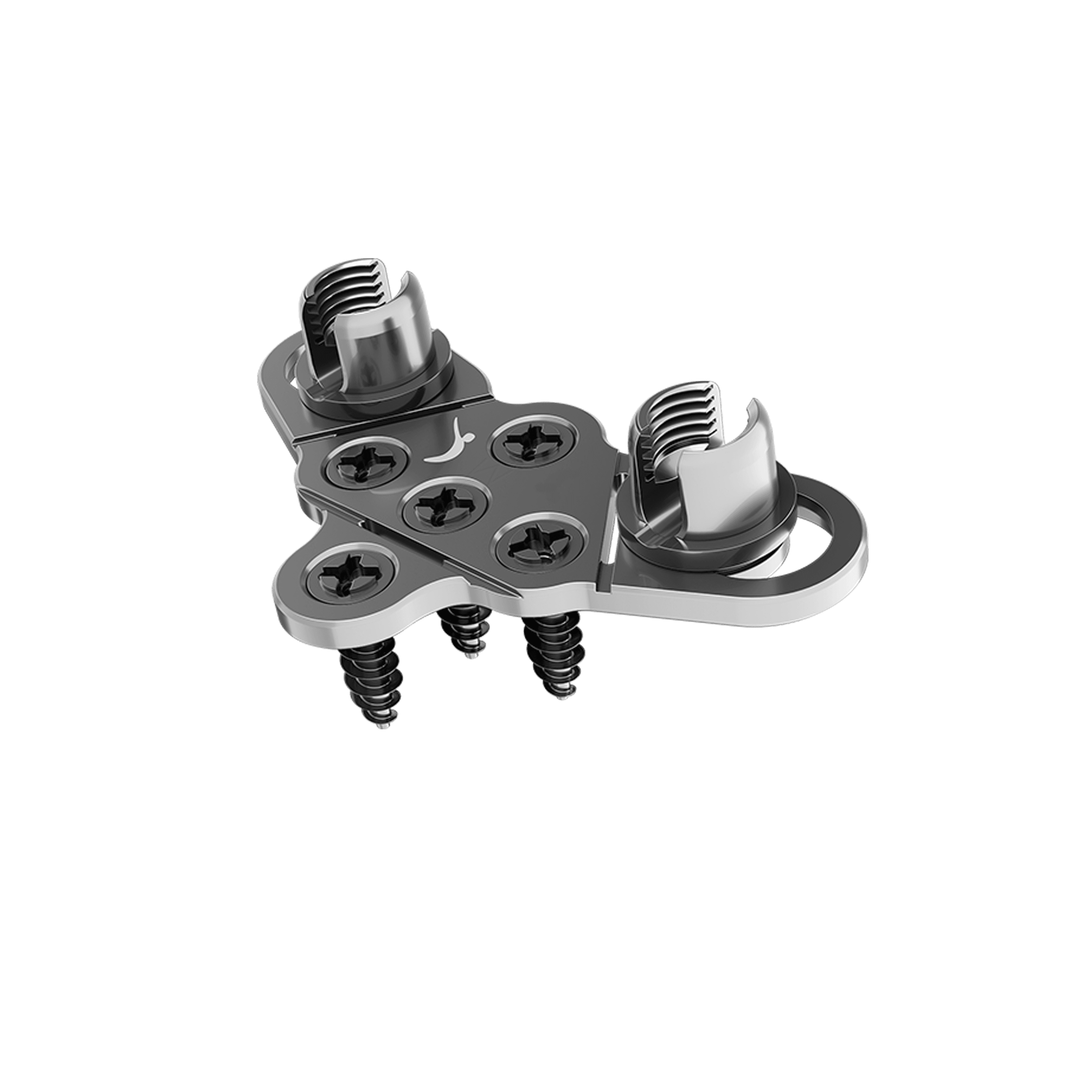 Occipital Plate & Screws