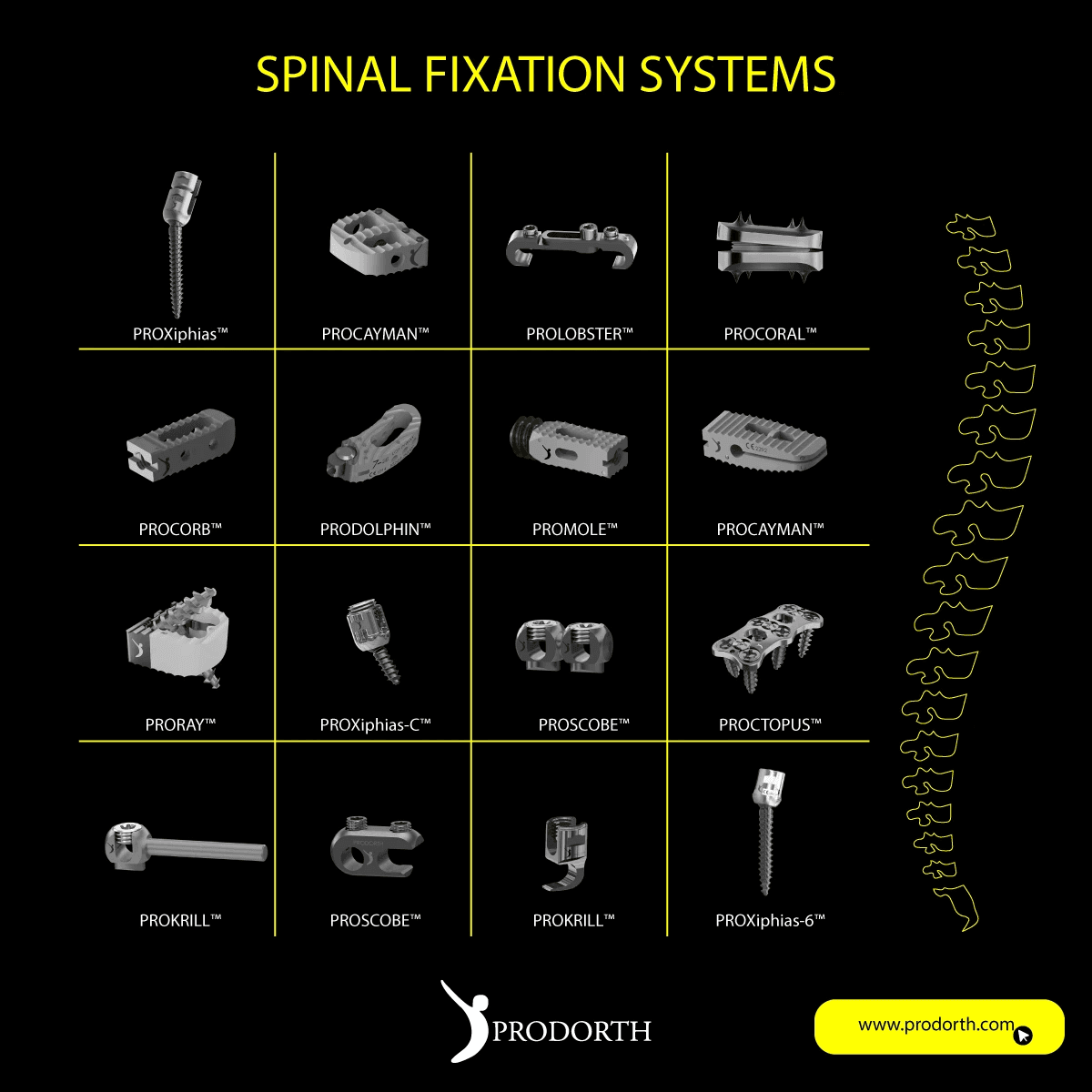 Prodorth Spine