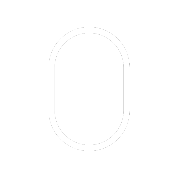 Arrow Down Icon
