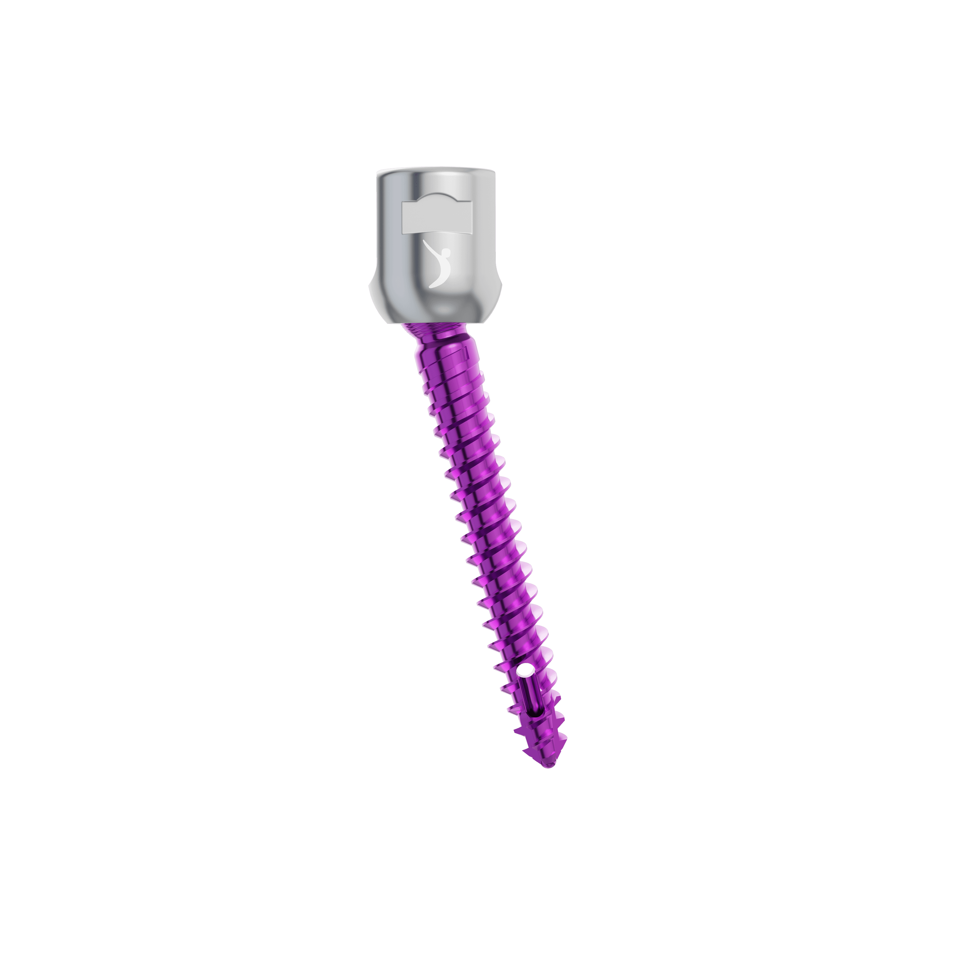 Posterior Cervical Pedicular Screws