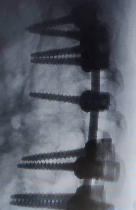 Gallery image 11