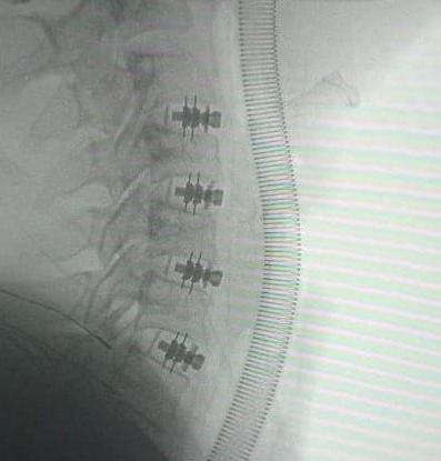 Gallery image 12